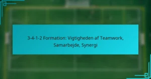 3-4-1-2 Formation: Vigtigheden af Teamwork, Samarbejde, Synergi
