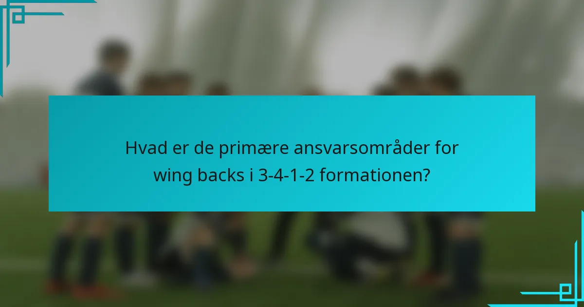 Hvad er de primære ansvarsområder for wing backs i 3-4-1-2 formationen?