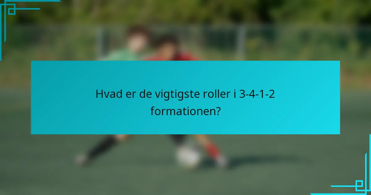 Hvad er de vigtigste roller i 3-4-1-2 formationen?