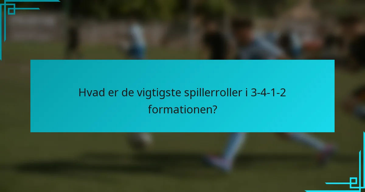Hvad er de vigtigste spillerroller i 3-4-1-2 formationen?