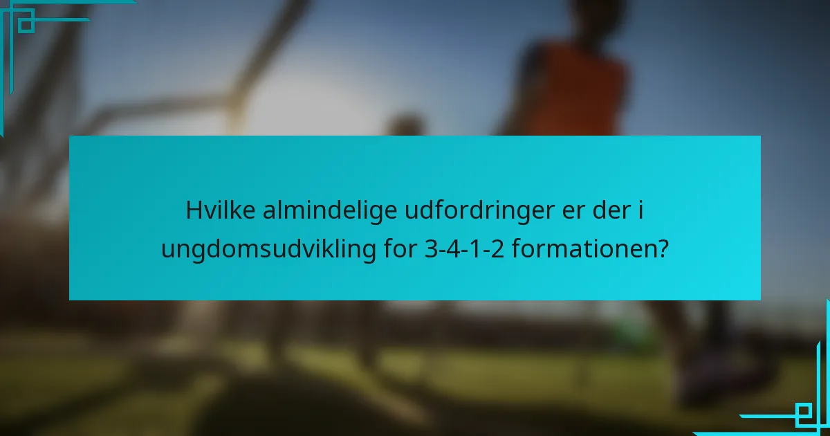 Hvilke almindelige udfordringer er der i ungdomsudvikling for 3-4-1-2 formationen?