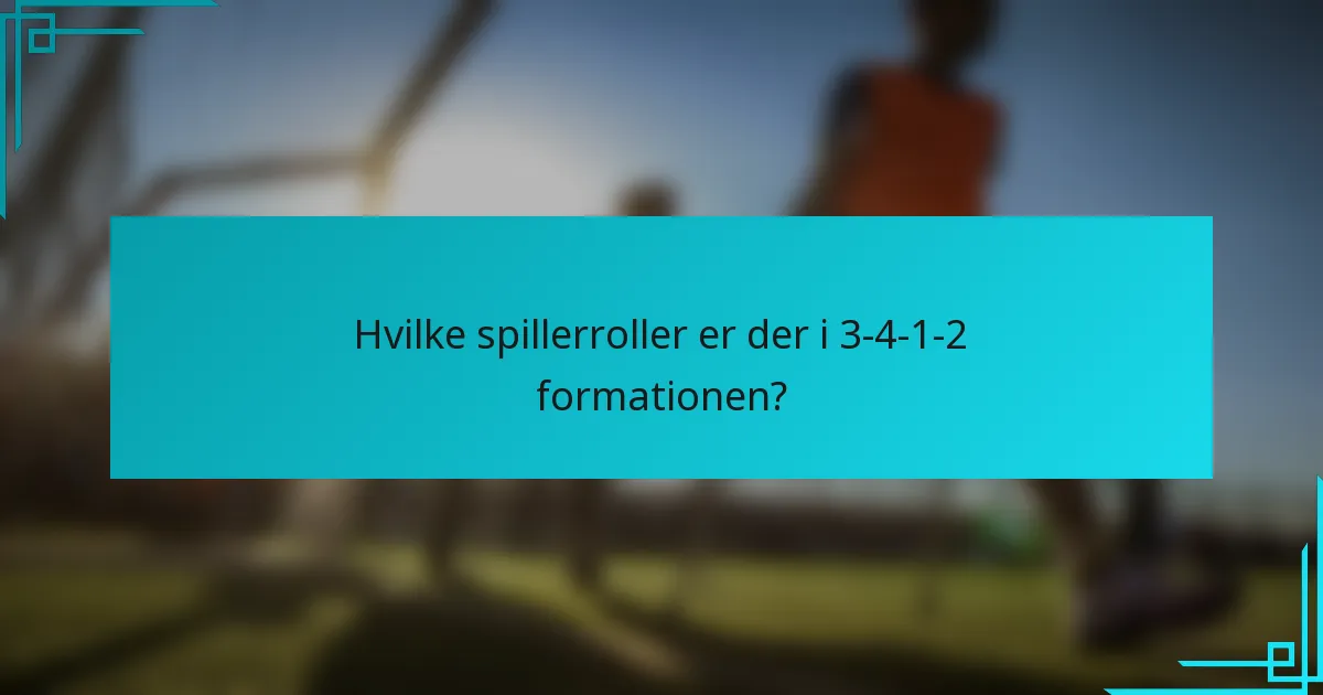 Hvilke spillerroller er der i 3-4-1-2 formationen?