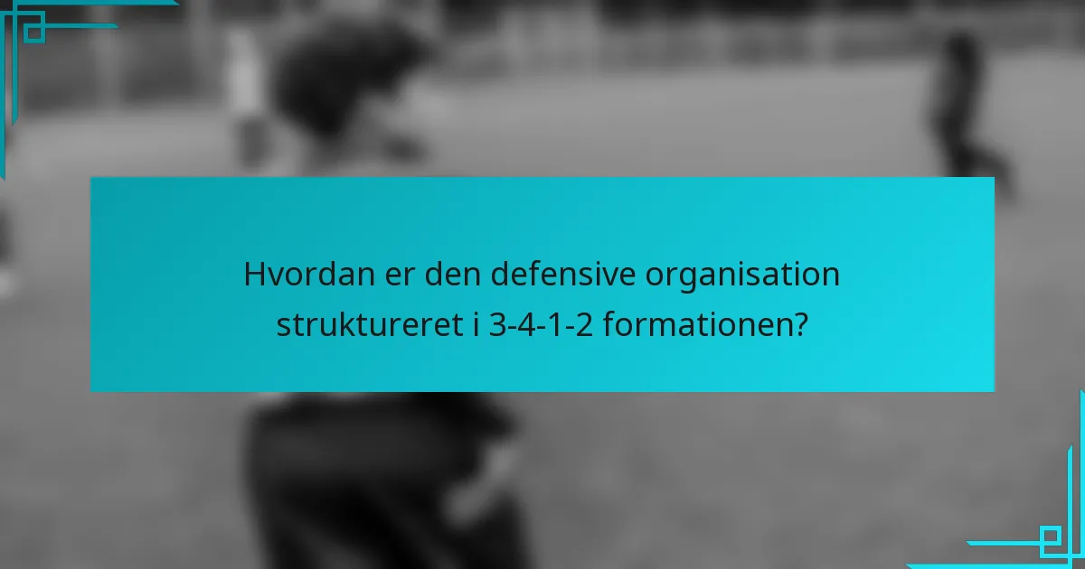 Hvordan er den defensive organisation struktureret i 3-4-1-2 formationen?