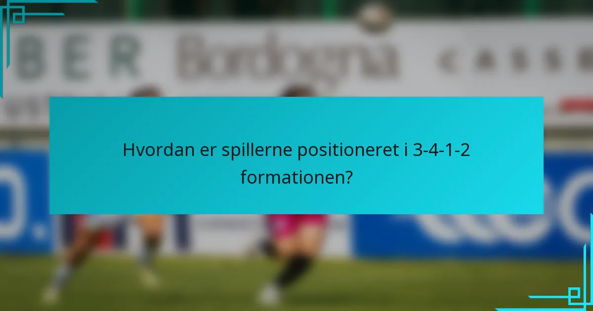 Hvordan er spillerne positioneret i 3-4-1-2 formationen?