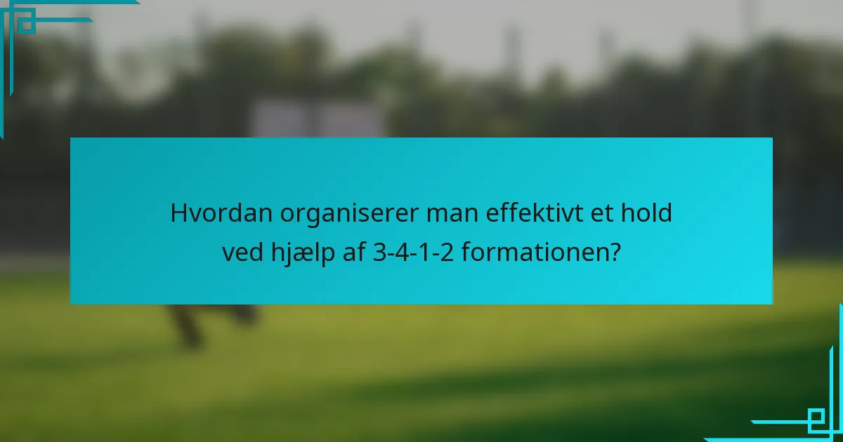 Hvordan organiserer man effektivt et hold ved hjælp af 3-4-1-2 formationen?