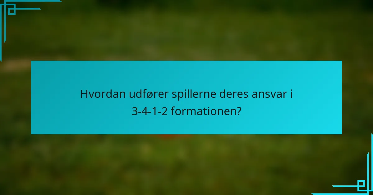 Hvordan udfører spillerne deres ansvar i 3-4-1-2 formationen?